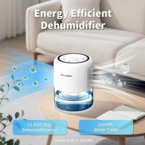 Windangel 44oz 1.3L Small Dehumidifier 215 sq.ft