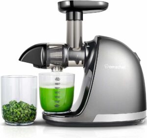 AMZCHEF Slow Masticating Juicer with Reverse Function