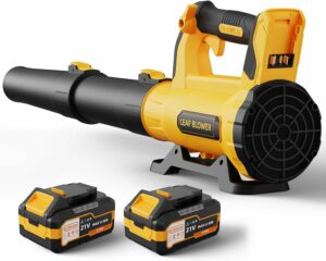QIYORL 21V Cordless Leaf Blower with 2× 5.0Ah Batteries