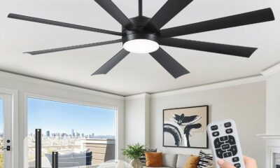 qlodgat 72-Inch Ceiling Fan with Light, Dimmable, Indoor/Outdoor (Dual Finish Blades) product image
