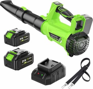 ELRINA Cordless Leaf Blower with 2 Batteries, 6-Speed, Shoulder Strap