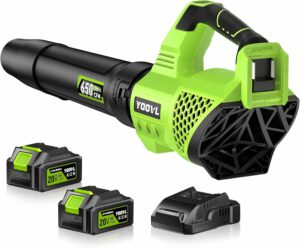 YOOVL Cordless Leaf Blower with 2 Batteries, 650CFM, 3 Speeds