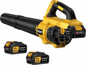 RYAHT 21V Cordless Leaf Blower with 2 Batteries