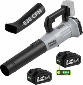BLSKBY 20V Cordless Leaf Blower 530CFM with 2 Batteries and Charger