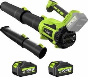 WOKEGI 21V Cordless Leaf Blower with 2 Batteries & Fast Charger