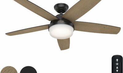 Hunter 52-Inch Ceiling Fan with Light and Remote (Renewed) product image