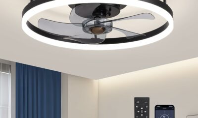 LUDOMIDE LL-6002BL 20-Inch Flush Mount Ceiling Fan with Light and Remote product image
