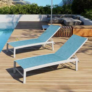 VredHom Patio Chaise Lounge Chair (2-Pack)
