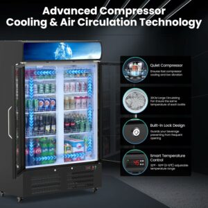 Cintva 28 Cu Ft Commercial Beverage Refrigerator with Glass Door product image