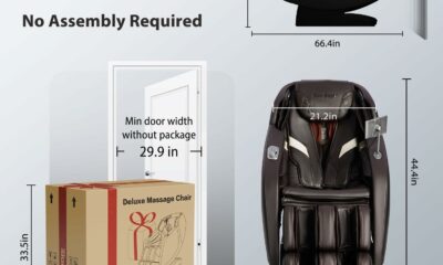 iBooMas SL-Track Zero Gravity Massage Chair product image
