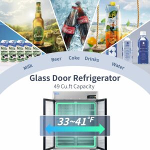 ICECASA 54-Inch Commercial Display Refrigerator 49 Cu.ft 2-Door