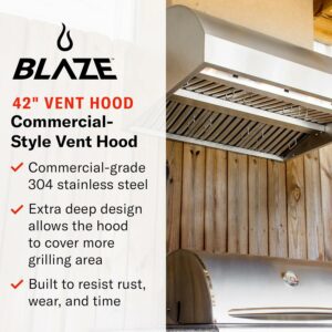 Blaze Outdoor Products BLZ-42-VHOOD 42-Inch Vent Hood with Dual 1000 CFM Blowers