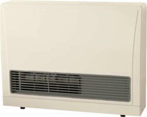 Rinnai EX22DTP 20,700 BTU Direct Vent Wall Furnace