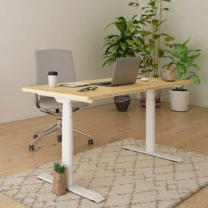 FLEXISPOT E6 Pro 72x30-Inch Electric Standing Desk (Bamboo Top)