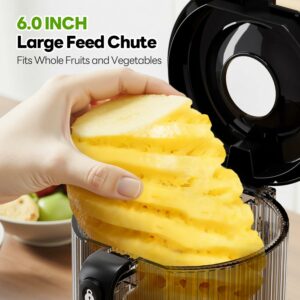 ECOSELF Slow Masticating Juicer with 6.0" Wide Mouth