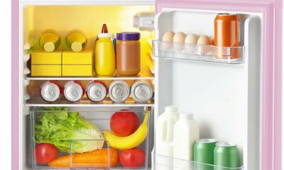 Saeoola 3.2 Cu.Ft Mini Fridge with Freezer product image