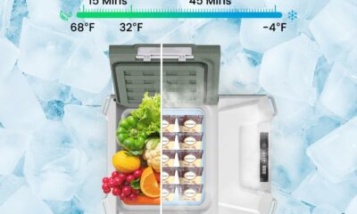 Alpicool C10 10-Quart Portable Car Refrigerator product image