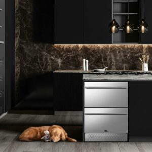 Tylza 24-Inch Dual Drawer Beverage Refrigerator
