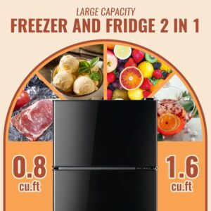DEMULLER 2.4 Cu.ft Mini Fridge with Separate Freezer product image