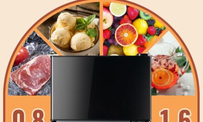 DEMULLER 2.4 Cu.ft Mini Fridge with Separate Freezer product image