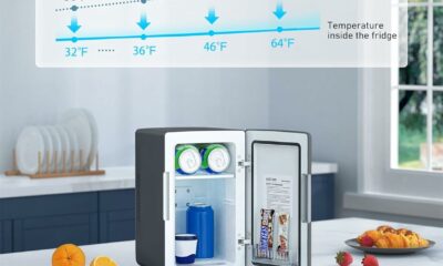 AstroAI Mini Fridge 2.0 Gen 6-Liter Thermoelectric Cooler and Warmer product image