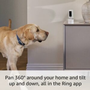 Ring Pan-Tilt Indoor Cam (2nd Gen)