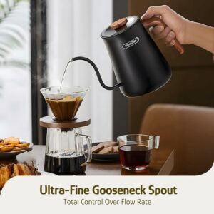 Hazel Quinn Gooseneck Kettle 0.8L with Temperature Control product image