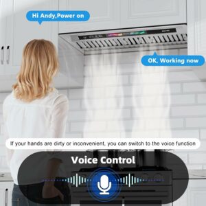 BRANO 30-Inch Range Hood 900 CFM with Voice/Gesture/Touch Control