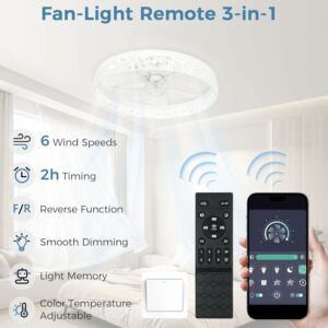 Ltemziiy 19-Inch Flush Mount Ceiling Fan with Light