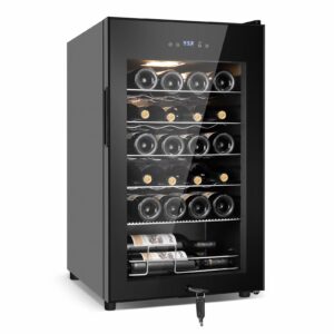 Tylza 24-Bottle Wine Cooler with Compressor and Touchscreen