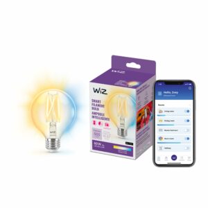 WiZ Connected G25 60W Tunable White Smart Bulb (1-Pack)