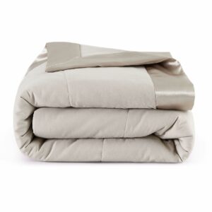 COMFLIVE Down Alternative Blanket - Queen Size Blanket with Satin Trim - Bed Blanket for All Seasons - Winter Summer Comfort Soft 90"x90" (Light Gray, Full/Queen) Light Gray Full/Queen product image