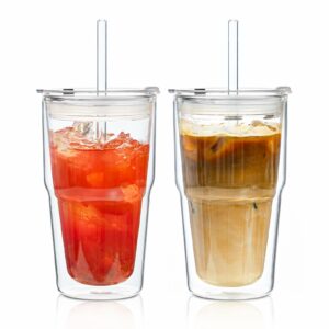 16oz Clear Double Wall Drinking Glass Cups with Lids and Straws, 2 Pc Set – Condensation Resistant Insulated Glass Can Tumblers for Cold Drinks,Iced Coffee,Tea,Juice and Mixed Drinks Cleaning Brush 2PCS
