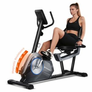 Recumbent Exercise Bike for Adult and Seniors,LUXECYCLES Stationary Bike,400 lbs Capacity,16-level Magnetic Resistance and Comfortable Adjust Seat product image