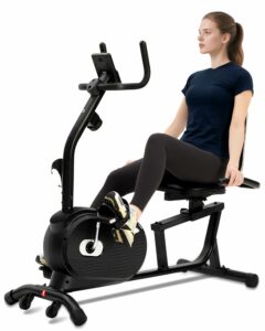 ECHANFIT Recumbent Exercise Bike for Home - 380LBS Weight Capacity, Exercise Bike with Smart Workout APP, 16-Level Magnetic Resistance, LCD Display, Comfortable Seat Black and Silver product image