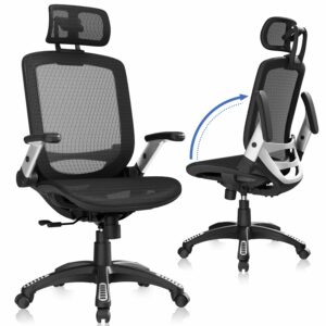 GABRYLLY Ergonomic Office Chair, High Back Home Desk Chair with Headrest, Flip-Up Arms, 90-120° Tilt Lock and Wide Cushion, Big and Tall Mesh Chairs for Man Woman, Black Task Chair product image