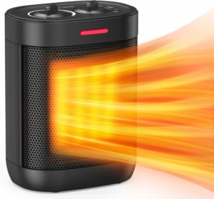 Pereysi 1000W PTC Ceramic Space Heater