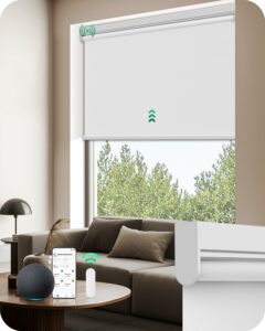 Allesin Motorized Roller Blinds 35x72in Blackout Smart Shade