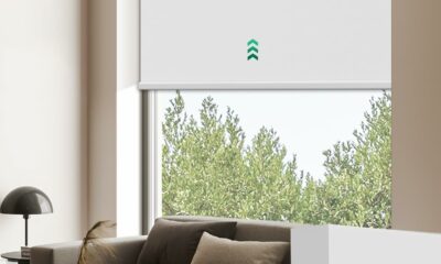 Allesin Motorized Roller Blinds with Remote Control for Windows, Blackout Automatic Smart Shades, Dry Battery Powered Electric Blind (White 35" W x 72" H) White 35"W x 72"H product image