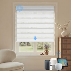 Canisteo Motorized Zebra Blinds 90% Blackout Shades product image