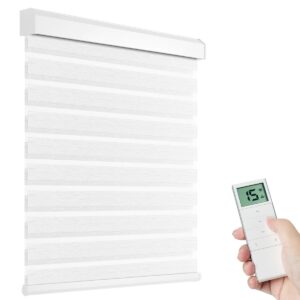 Tokblind Motorized Zebra Shades with Remote Control, Smart Dual Layer Blinds product image