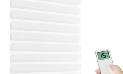 Tokblind Motorized Zebra Shades with Remote Control, Smart Dual Layer Blinds product image