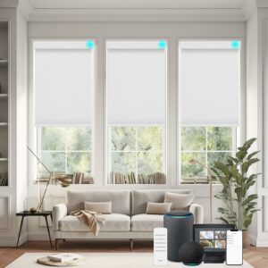 Changshade Smart Roller Shade Motorized Blackout Blind product image
