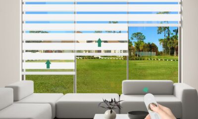 Bliwans Motorized Zebra Blinds (Dual Layer, 90% Blackout) product image
