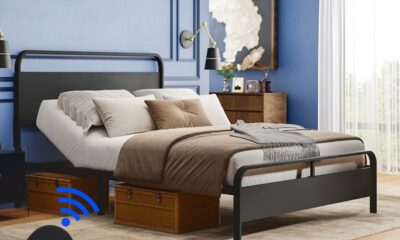 FLEXISPOT Queen Adjustable Bed, Complete with Modern Bed Frame, 0°to 60° Head Incline, Quiet Powerful DC Motor, Easy Assembly – Ideal for Relaxation, Reading, and Pressure Relief Queen Adjustable Bed Only product image