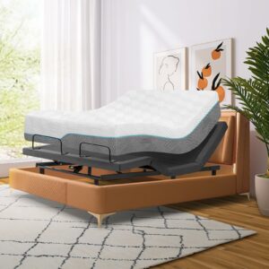 Vipbear Queen Adjustable Bed Base with 12-Inch Gel Memory Foam Mattress (Two-Side)