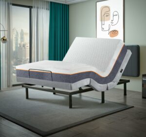 Irvine Home Collection Queen Adjustable Bed Base with 10-Inch Gel Memory Foam Mattress