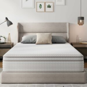 Novilla 14-Inch Hybrid Queen Mattress with Coils