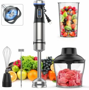 Ganiza Immersion Blender 1000W 5-in-1