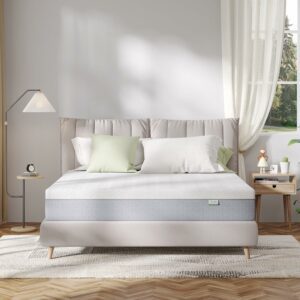Novilla 10-Inch Gel Memory Foam Queen Mattress